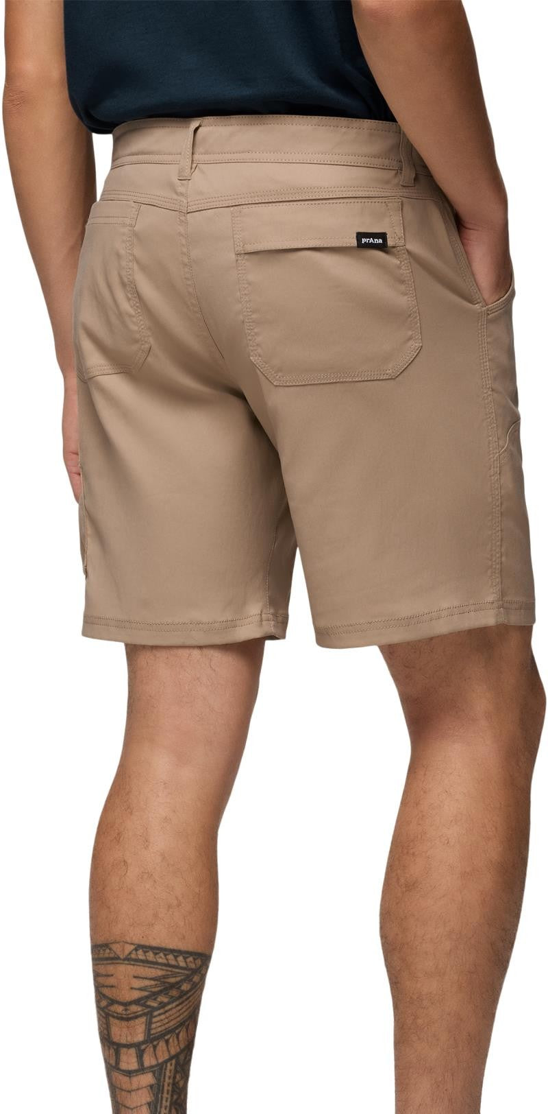 Stretch Zion Shorts, 10" Inseam - Mens - sandbar 1
