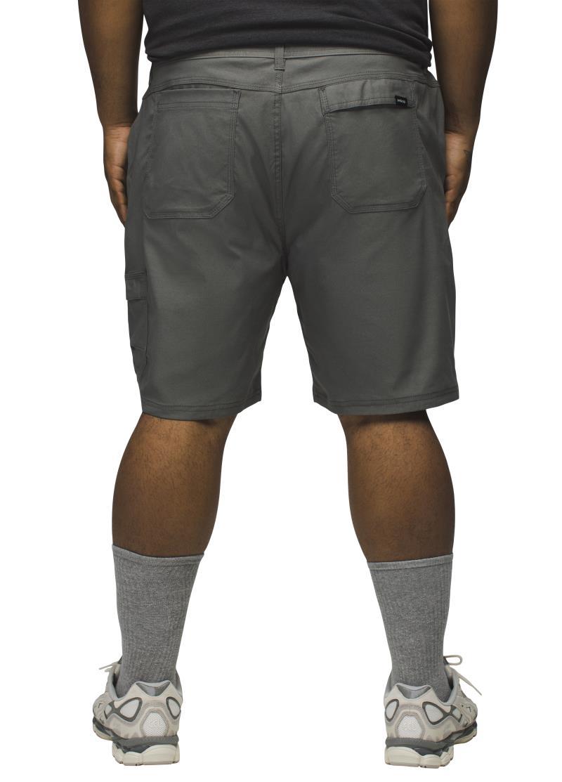 Stretch Zion Shorts II, 10" Inseam - Mens - Flint 3