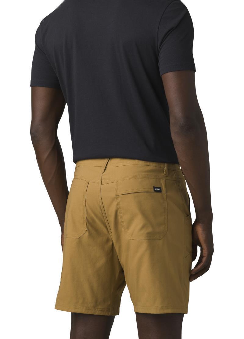 Stretch Zion Shorts II, 12" Inseam - Mens - Embark Brown 3