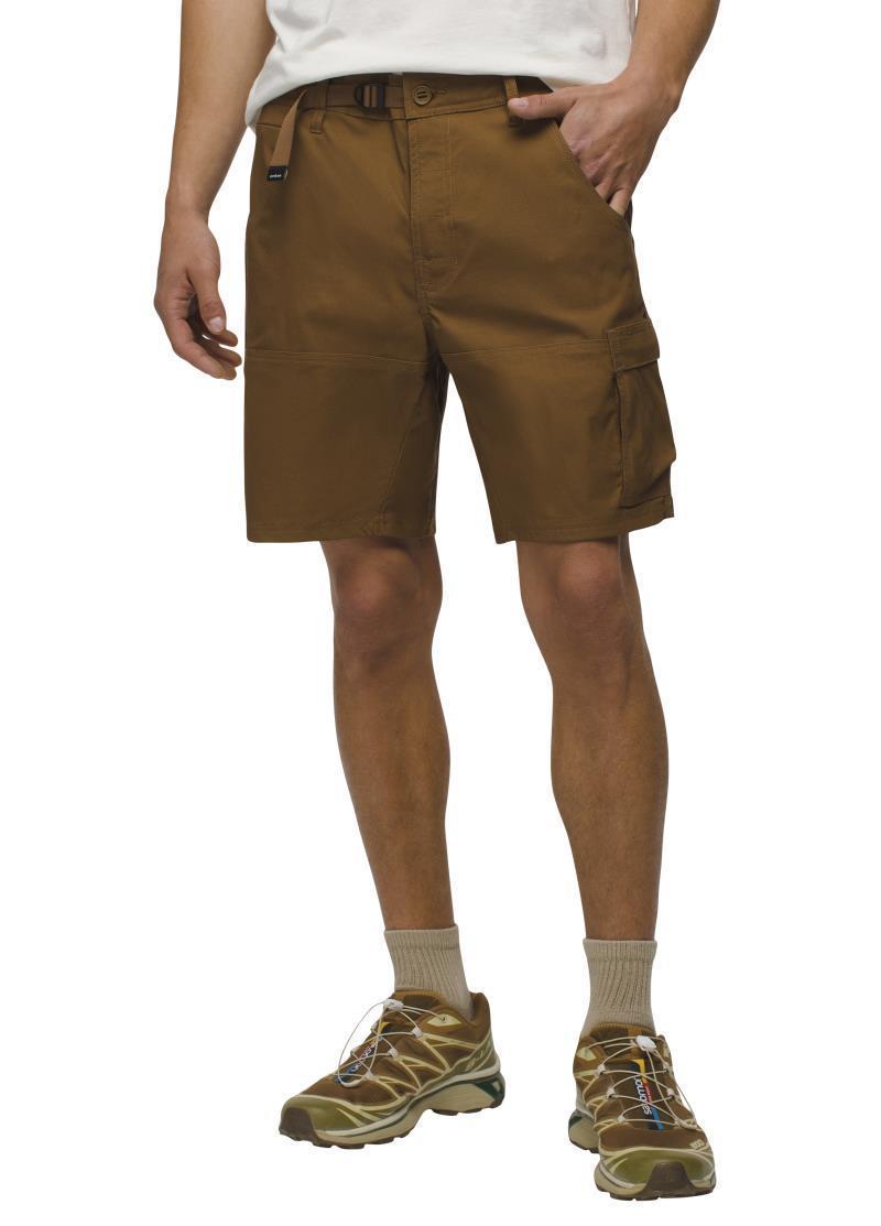 Stretch Zion Shorts II, 12" Inseam - Mens - Sepia 2