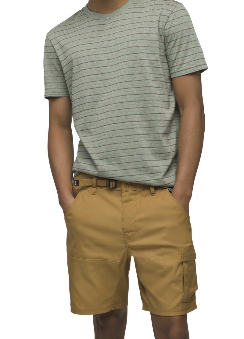 Stretch Zion Shorts II, 8" Inseam - Mens - Embark Brown 2