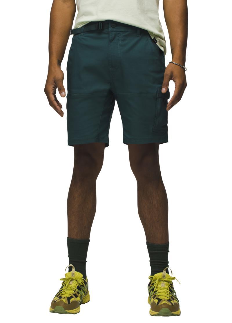 Stretch Zion Shorts II, 8" Inseam - Mens - Wilderness 2