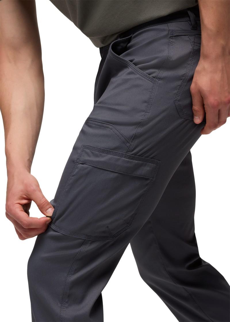 Stretch Zion Standard Pants, 30" Inseam - Mens - shadow 1