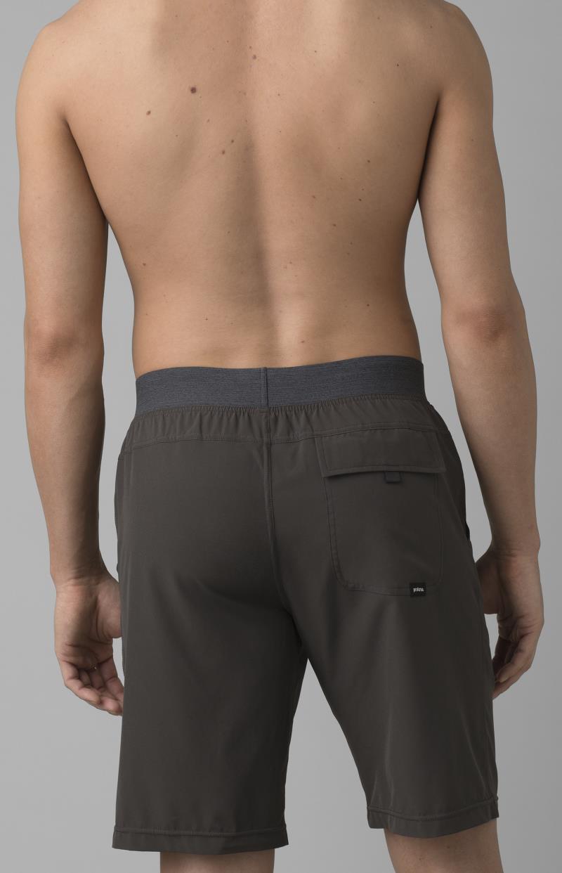 Super Mojo Shorts II, 10" Inseam - Mens - Dark Iron 3