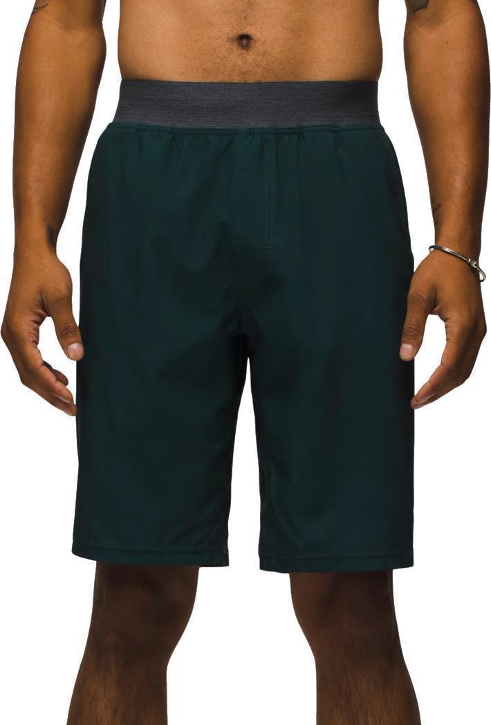 Super Mojo Shorts II, 10" Inseam - Mens - Wilderness 2