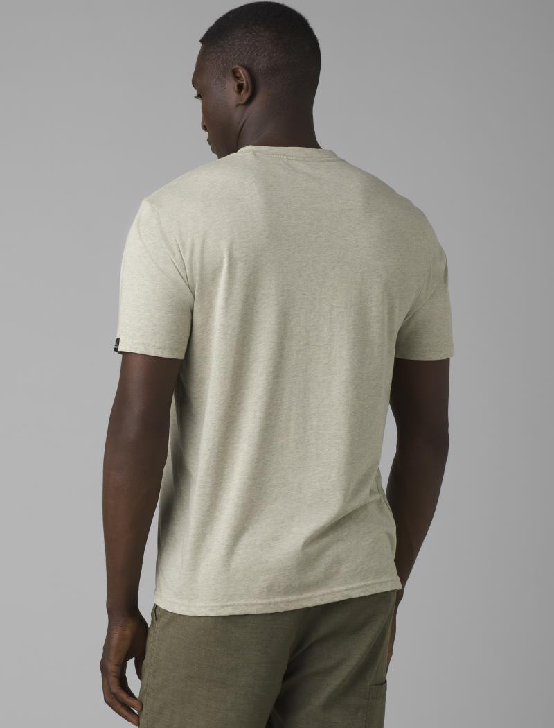 prAna V-Neck SS T-Shirt - Standard - Mens - Coastal Sage Heather 3