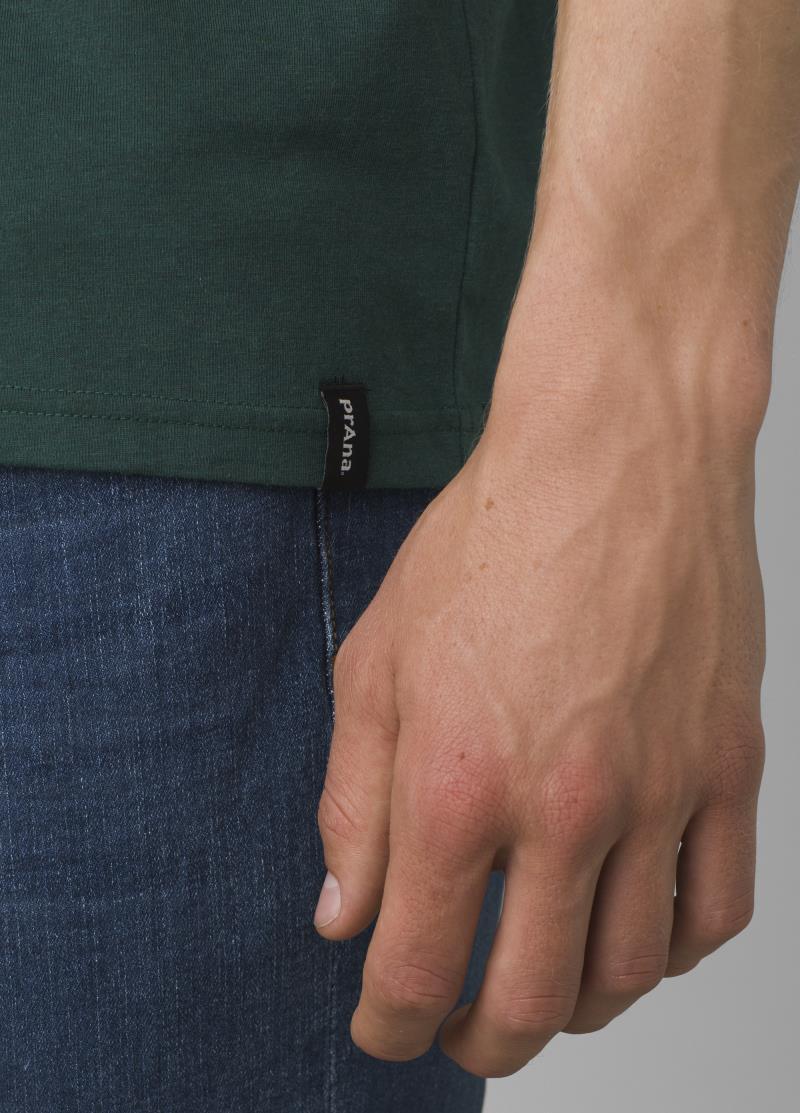 prAna V-Neck SS T-Shirt - Standard - Mens - Deep Pine Heather 5