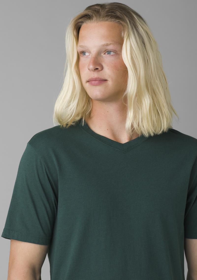 prAna V-Neck SS T-Shirt - Tall - Mens - Deep Pine Heather 4
