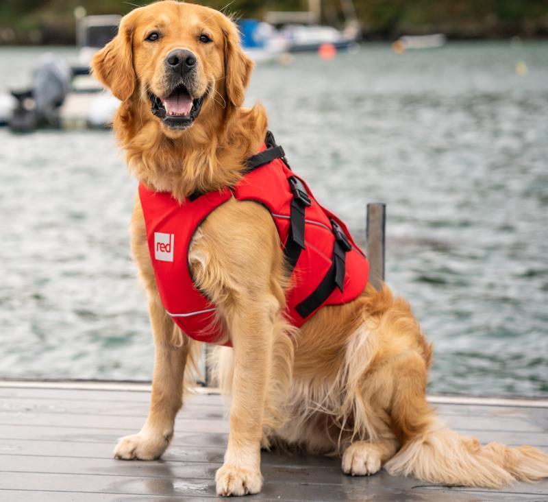 Dog PFD - Red 2