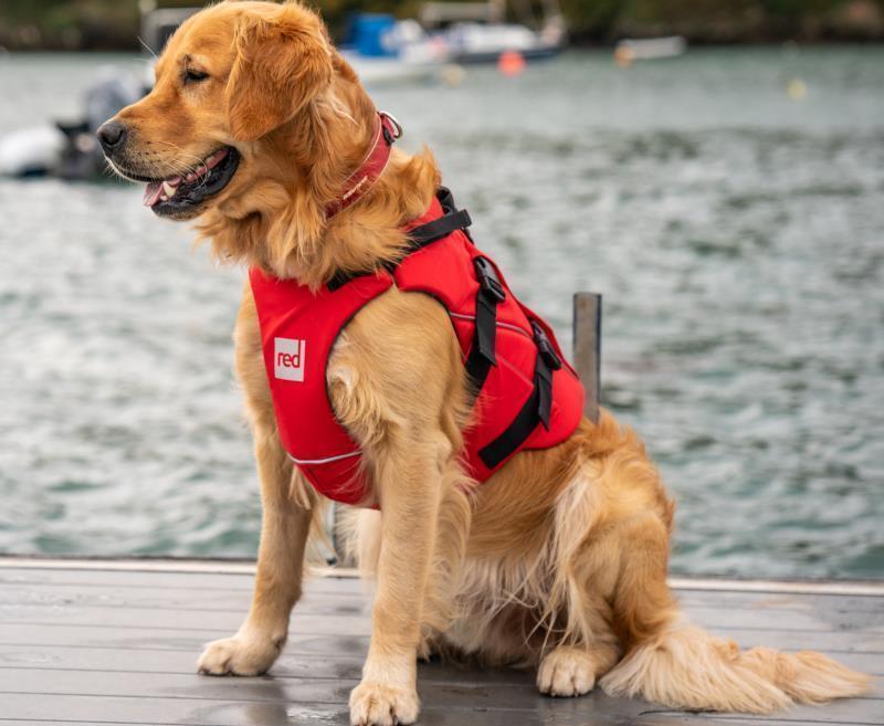 Dog PFD - Red 3