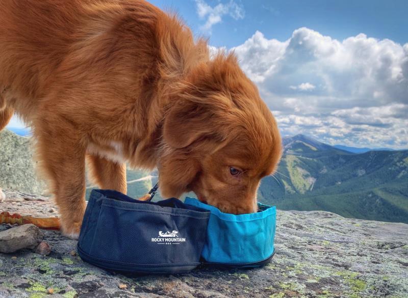 Collapsible Dog Travel Bowl - not applicable 1