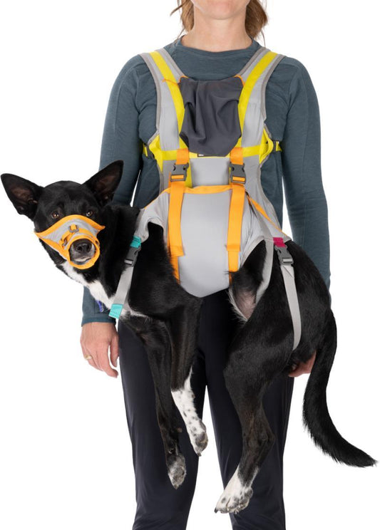 BackTrak Dog Evacuation Kit - Cloudburst Gray 1