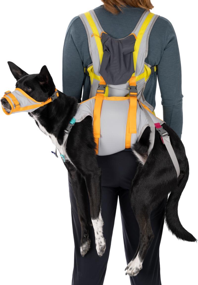 BackTrak Dog Evacuation Kit - Cloudburst Gray 2