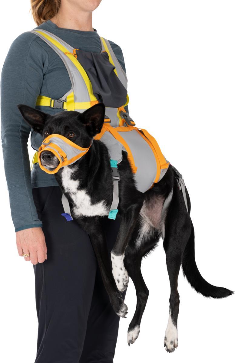 BackTrak Dog Evacuation Kit - Cloudburst Gray 3