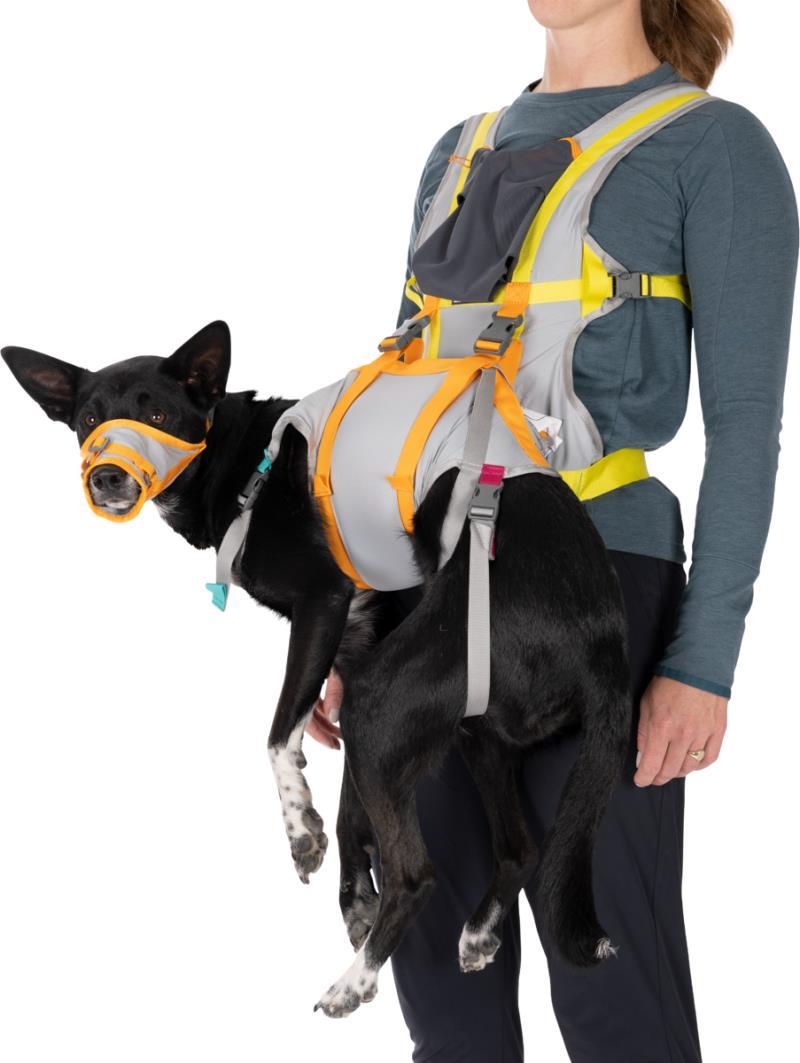 BackTrak Dog Evacuation Kit - Cloudburst Gray 4