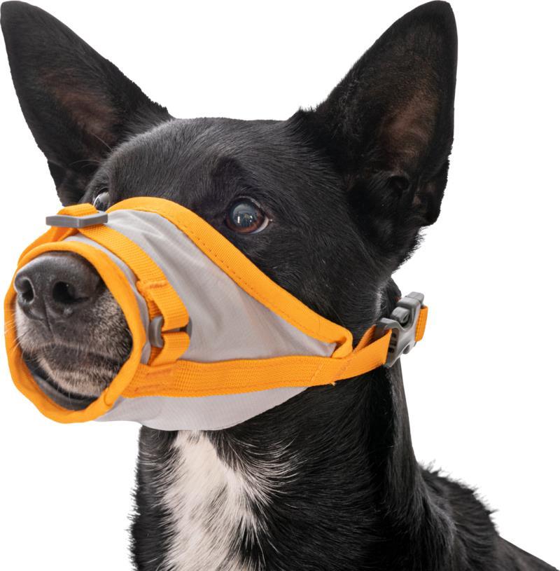 BackTrak Dog Evacuation Kit - Cloudburst Gray 6