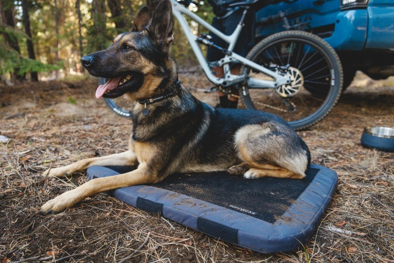 Dirtbag Bed - basalt gray 1