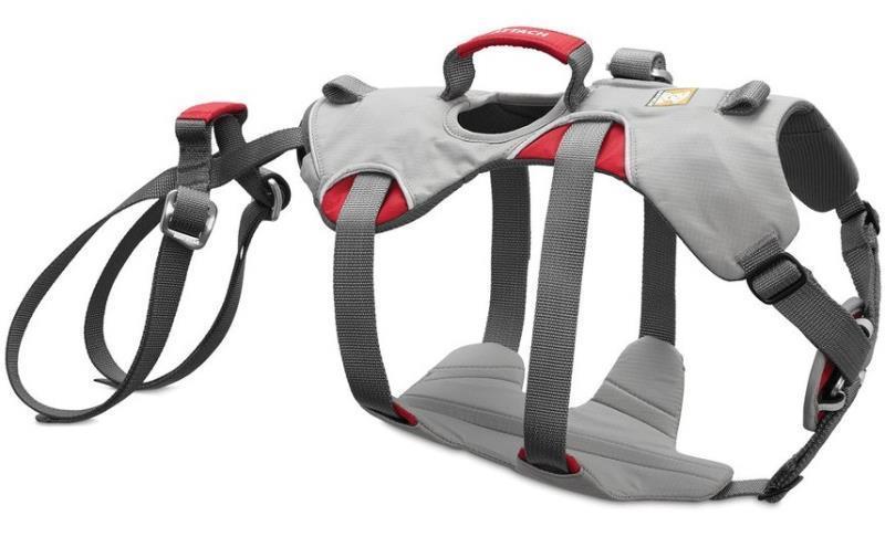 DoubleBack Harness - Cloudburst Gray 2