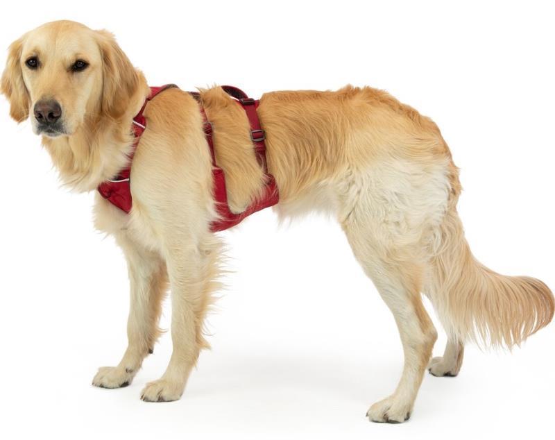 Flagline Harness - Red Rock 7