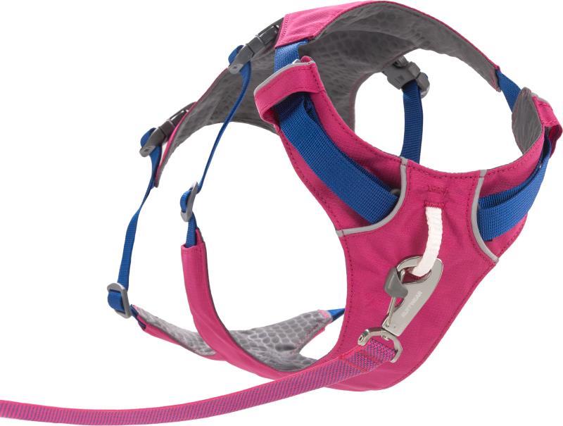 Flagline Harness - alpenglow pink 1