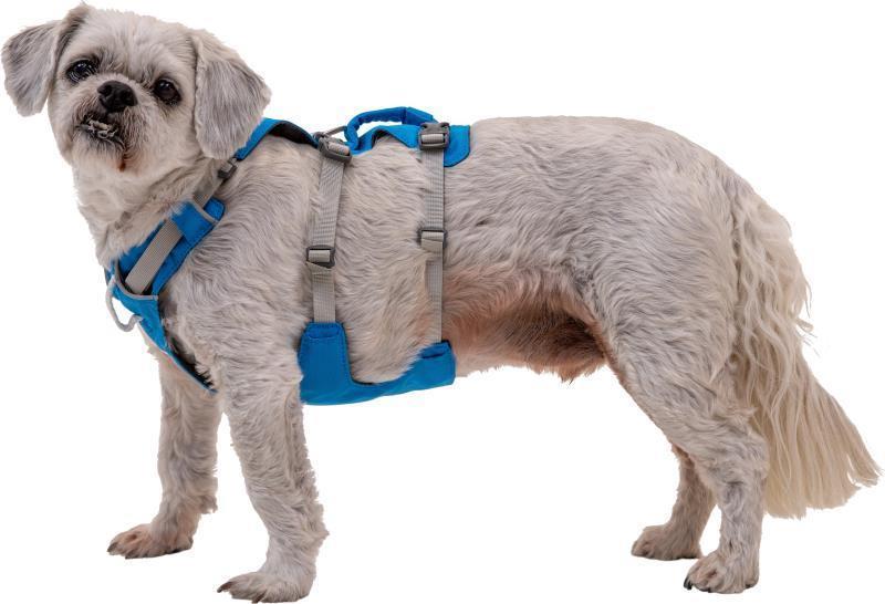 Flagline Harness - blue dusk 1