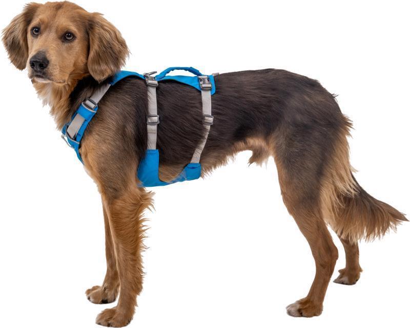 Flagline Harness - blue dusk 1