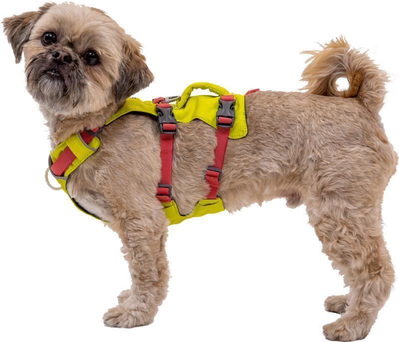 Flagline Harness - lichen green 1