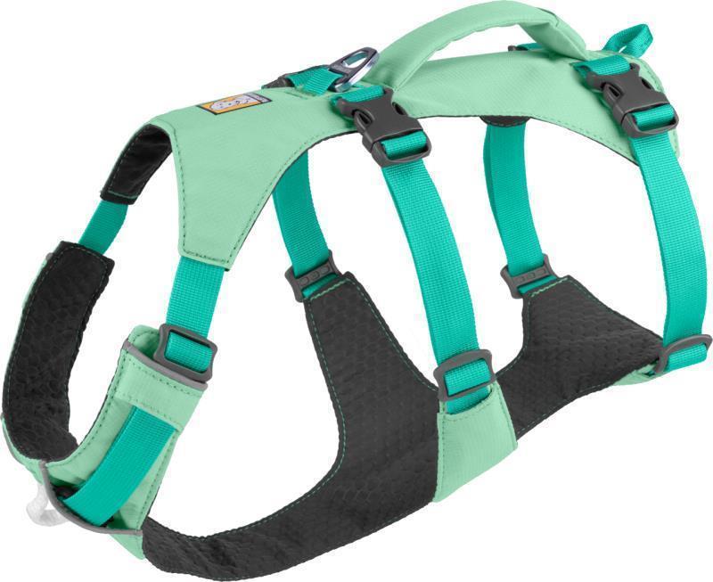 Flagline Harness - sage green 1