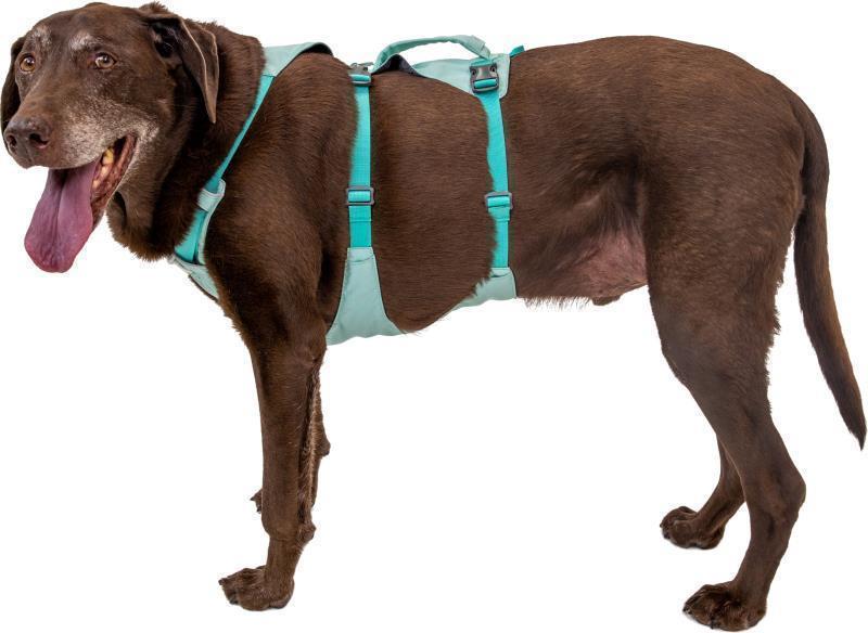 Flagline Harness - sage green 1