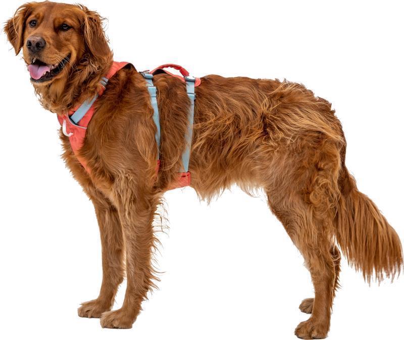 Flagline Harness - salmon pink 1