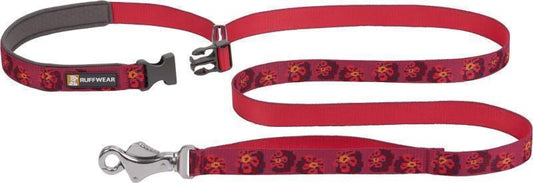 Flat Out Leash - Alpenglow Burst 1