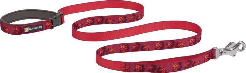 Flat Out Leash - Alpenglow Burst 2