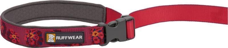 Flat Out Leash - Alpenglow Burst 4