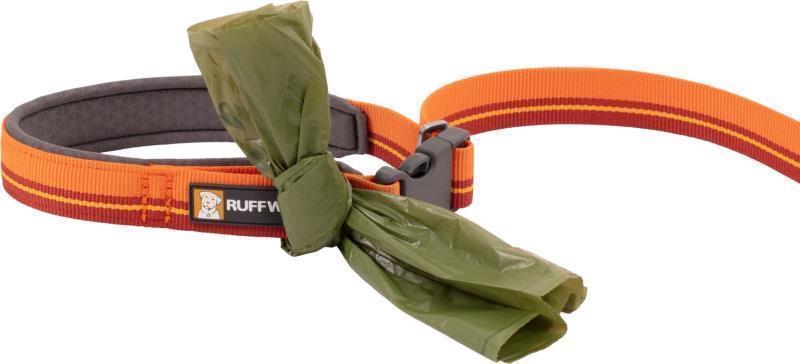 Flat Out Leash - Autumn Horizon 5