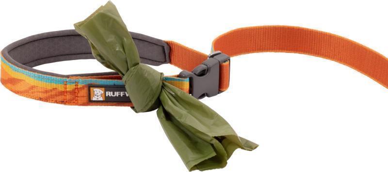 Flat Out Leash - Fall Mountains 5