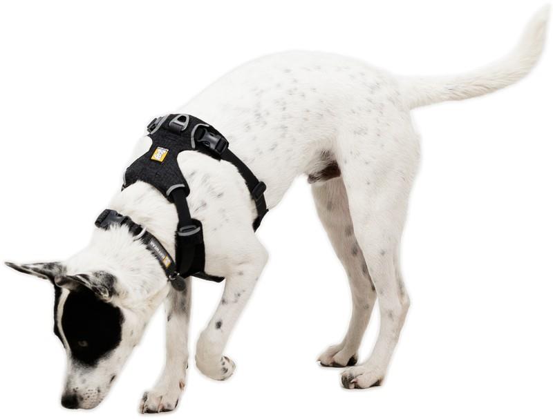 Front Range Flex Harness - basalt gray 1