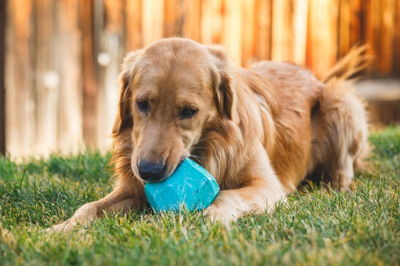 Gnawt-a-Rock Toy - glacial blue 1