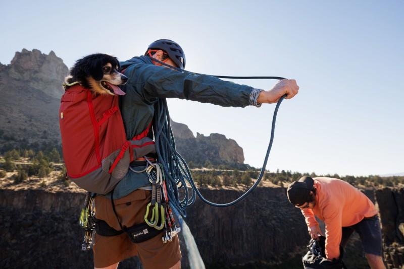 Hitch Hiker Dog Backpack Carrier - red clay 1