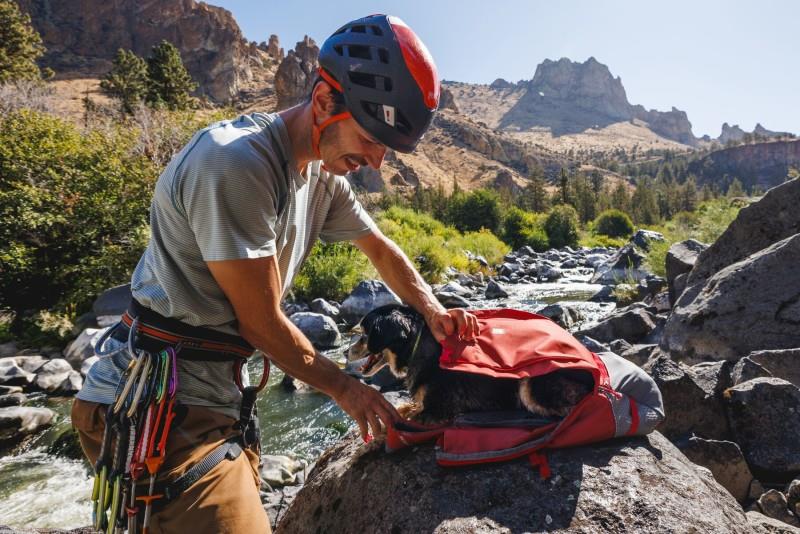 Hitch Hiker Dog Backpack Carrier - red clay 1
