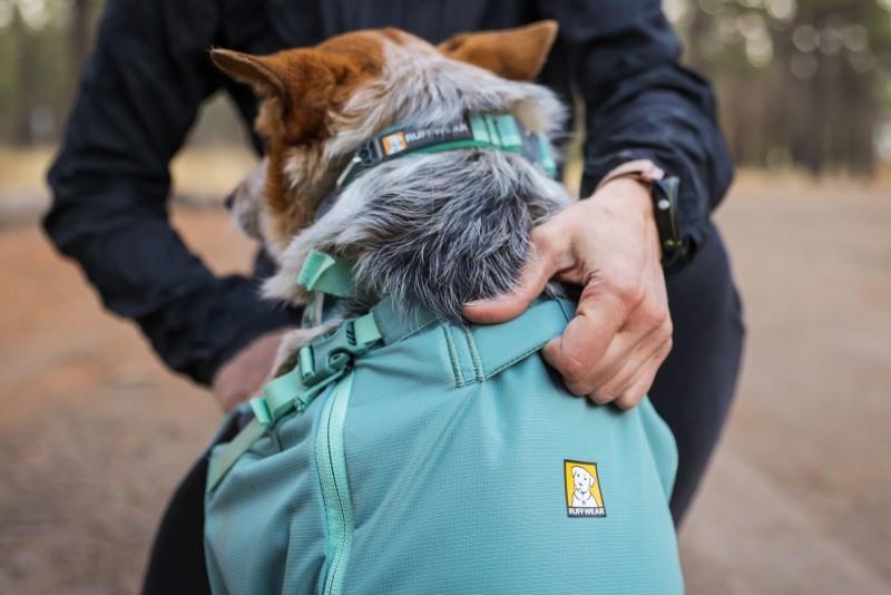 Hitch Hiker Dog Backpack Carrier - river rock green 1