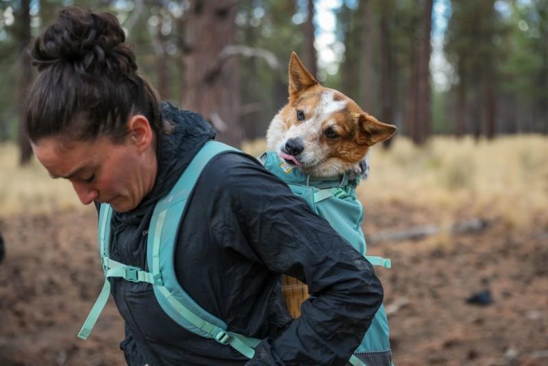 Hitch Hiker Dog Backpack Carrier - river rock green 1