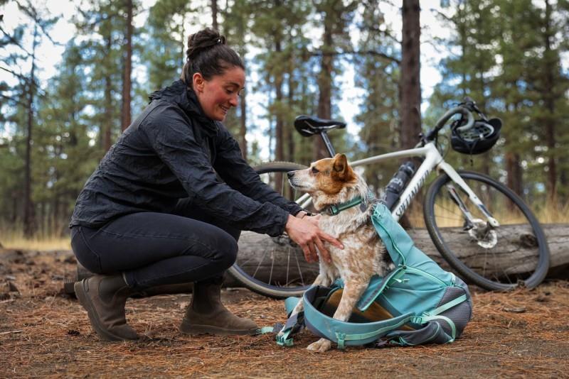 Hitch Hiker Dog Backpack Carrier - river rock green 1