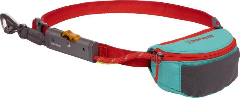 Hitch Hiker Leash - Aurora Teal 1