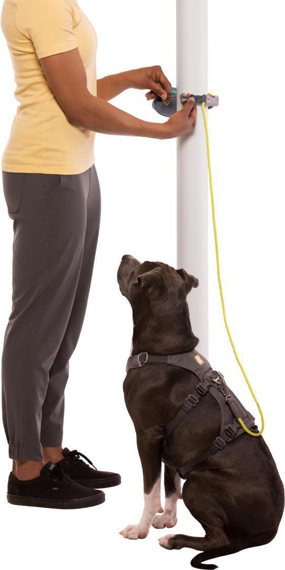 Hitch Hiker Leash - Slate Blue 10