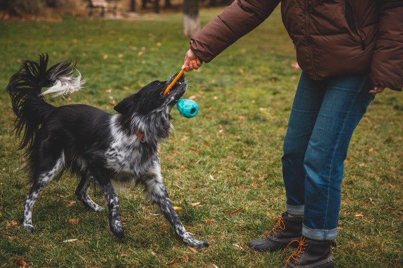 Huck-a-Cone Toy - glacial blue 1