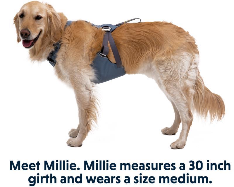 Load Up Harness - Slate Blue 7