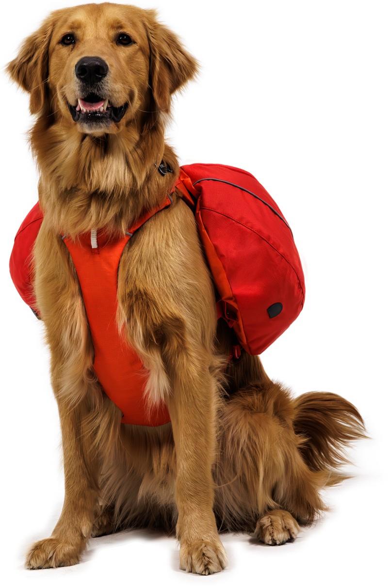 Palisades Pack - red currant 1
