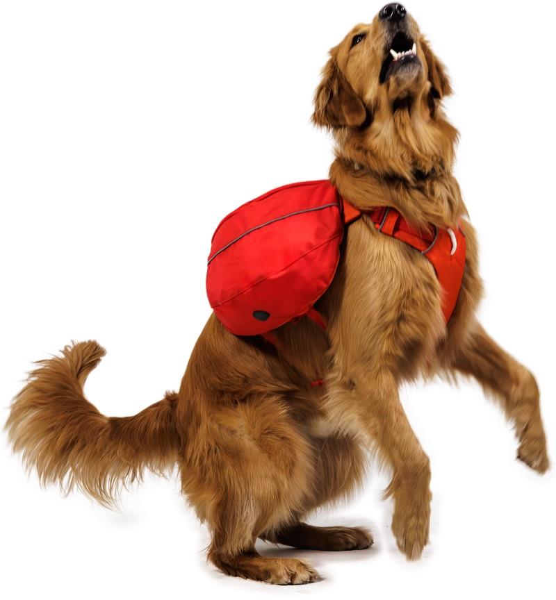 Palisades Pack - red currant 1