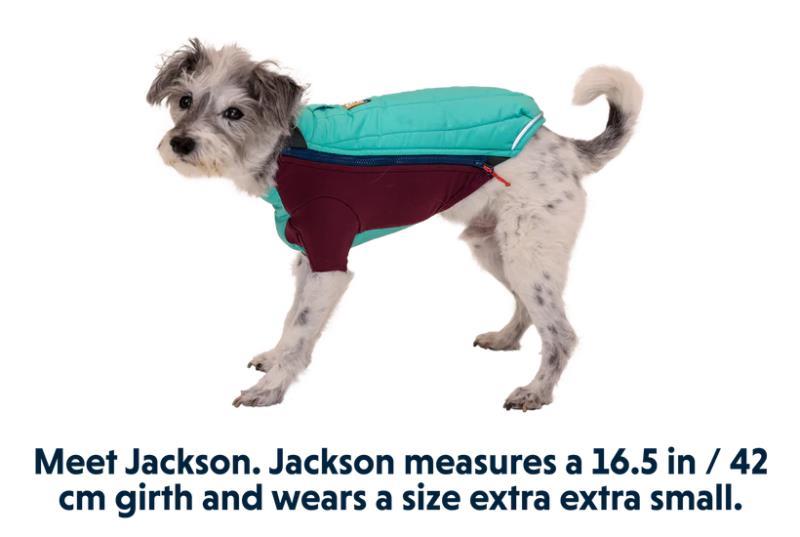 Powder Hound Jacket - Aurora Teal 4