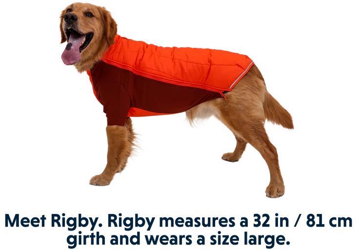 Powder Hound Jacket - Persimmon Orange 4